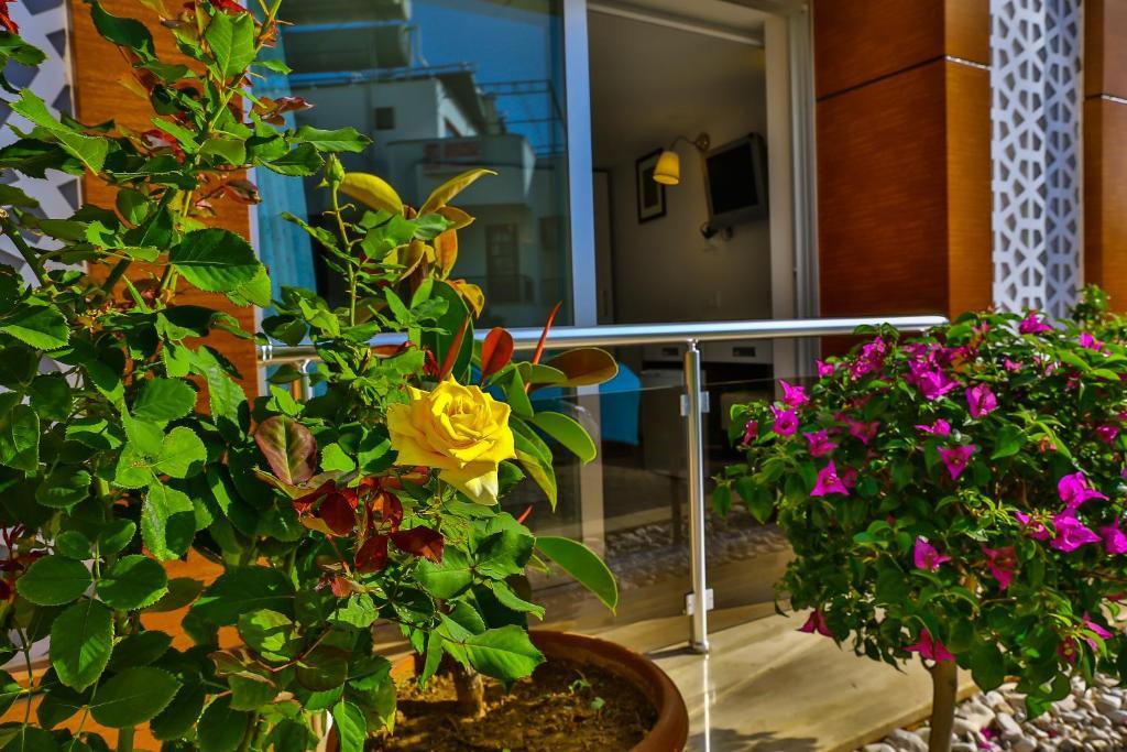 Hotel Sonne - Adults Only Kaş Buitenkant foto